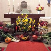 Altarraum einer Kirche.vor dem Altar Blumen, Kürbisse, Kartoffeln, Äpfel und andere Erntegaben